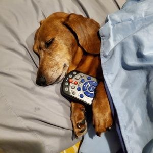 Meet your Posher, Esther